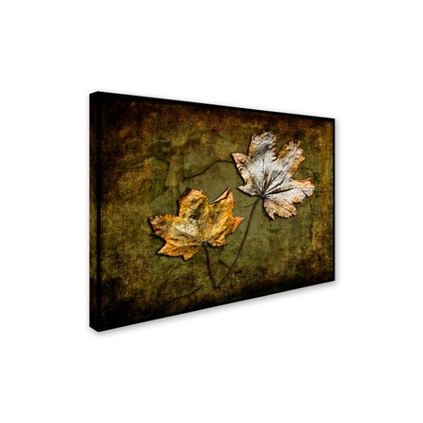 LightBoxJournal 'Metallic Leaf 2' Canvas Art,24x32